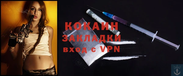дживик Медвежьегорск