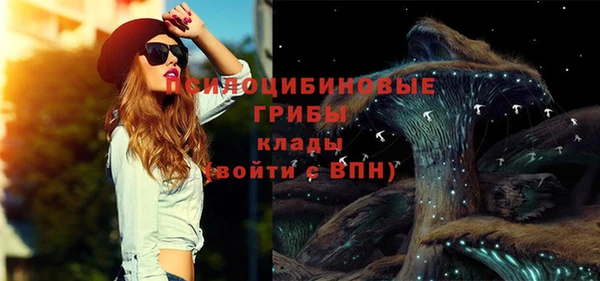дживик Медвежьегорск