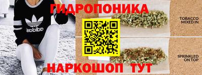 spice Заводоуковск