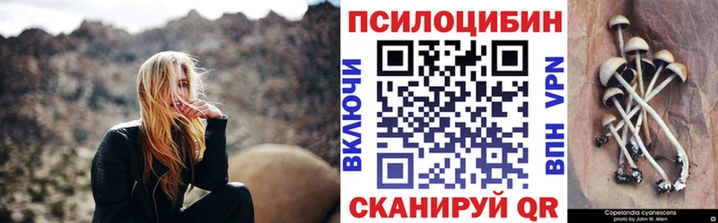 KRAKEN онион  Мыски  даркнет наркотические препараты  купить наркотик  Псилоцибиновые грибы Psilocybine cubensis 