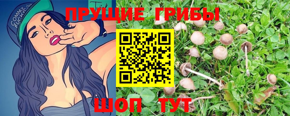 Галлюциногенные грибы Magic Shrooms  Вход с VPN  Мыски 