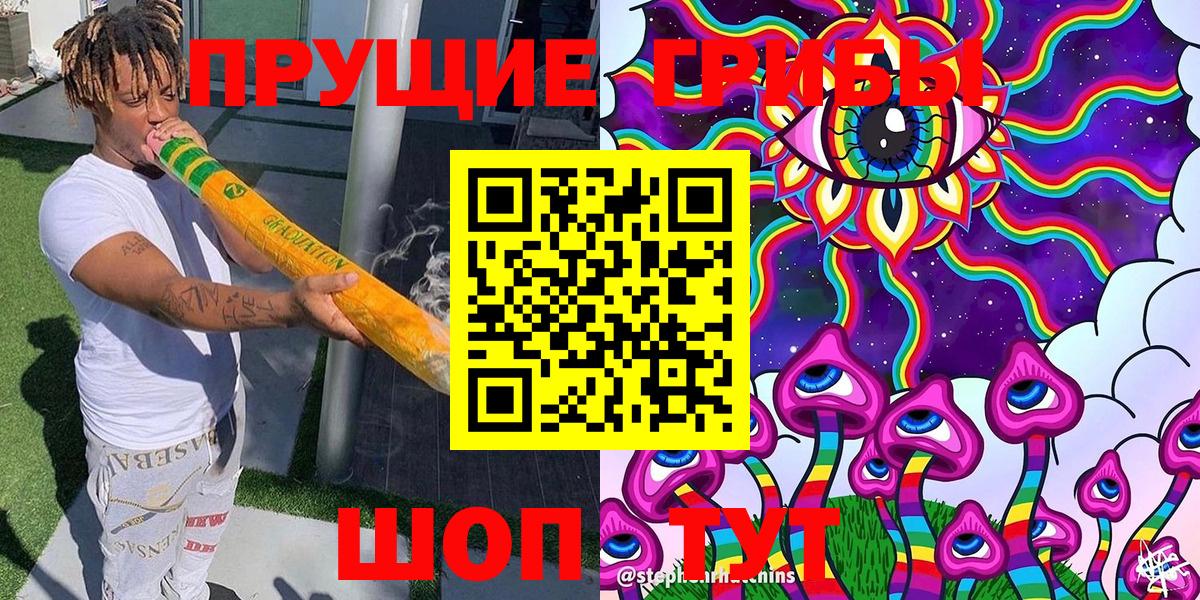 Псилоцибиновые грибы Psilocybe Мыски